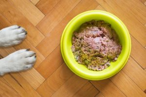 https://pixabay.com/es/photos/comida-de-perro-plato-de-perro-5175604/